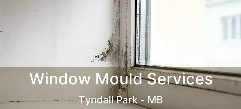  Window Mould Services Tyndall Park - MB