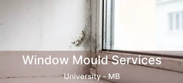 Window Mould Services University - MB