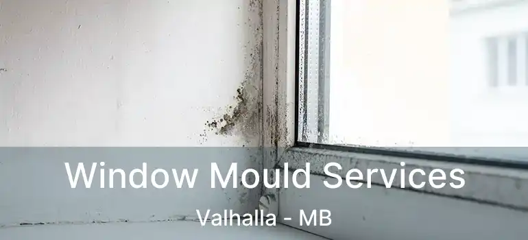  Window Mould Services Valhalla - MB
