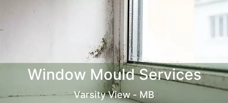  Window Mould Services Varsity View - MB
