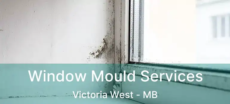  Window Mould Services Victoria West - MB