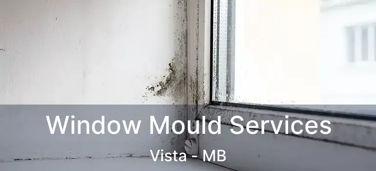  Window Mould Services Vista - MB
