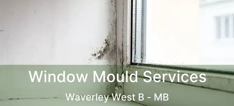 Window Mould Services Waverley West B - MB