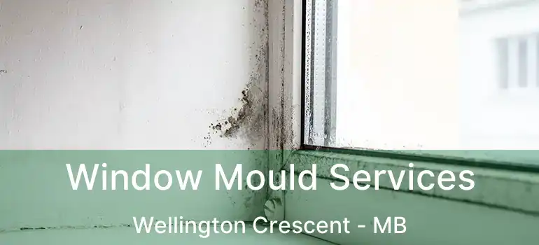  Window Mould Services Wellington Crescent - MB