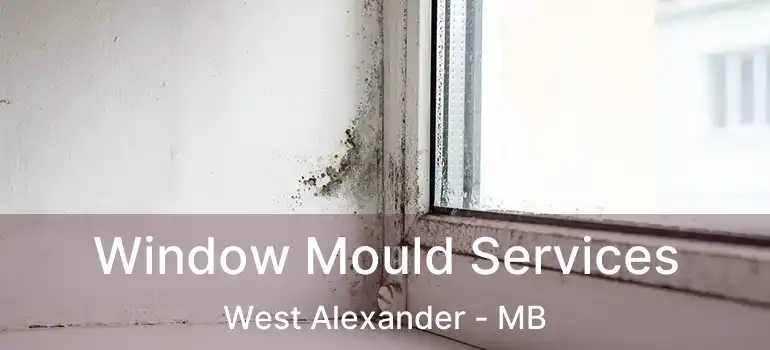  Window Mould Services West Alexander - MB
