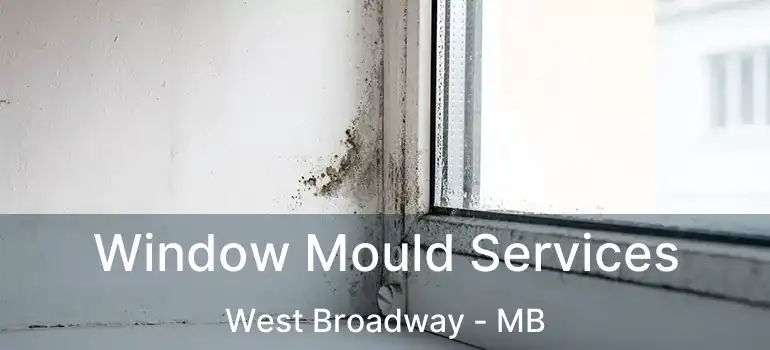  Window Mould Services West Broadway - MB