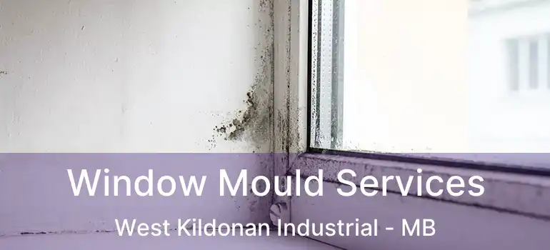  Window Mould Services West Kildonan Industrial - MB