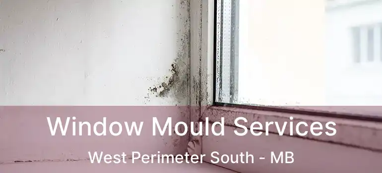  Window Mould Services West Perimeter South - MB