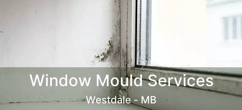  Window Mould Services Westdale - MB