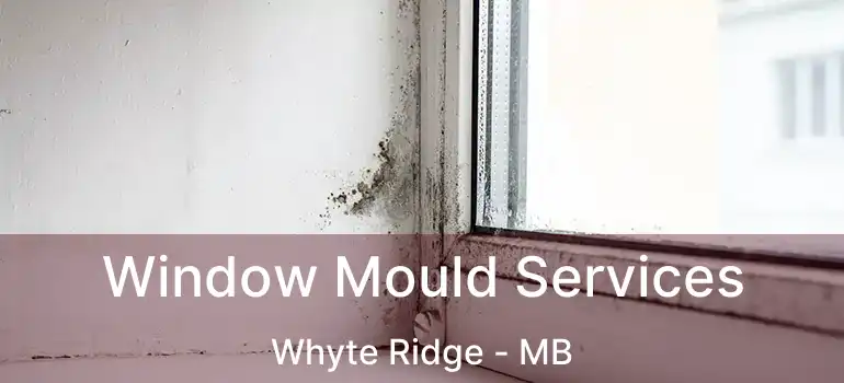  Window Mould Services Whyte Ridge - MB