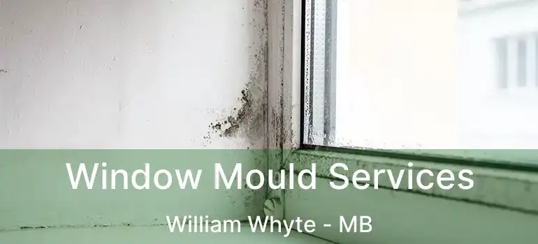  Window Mould Services William Whyte - MB