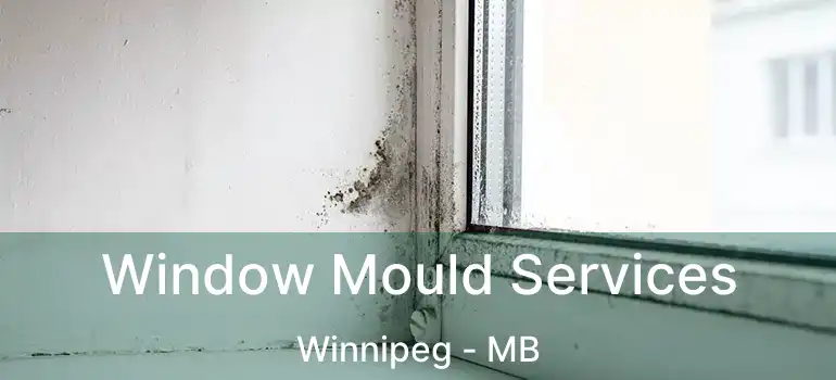  Window Mould Services Winnipeg - MB