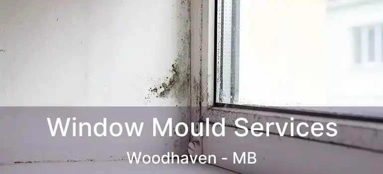  Window Mould Services Woodhaven - MB