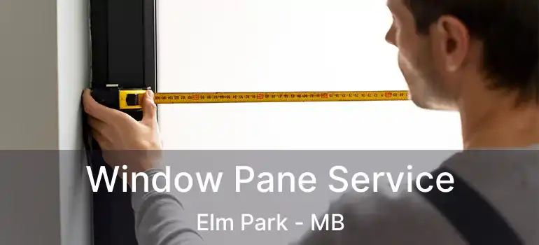  Window Pane Service Elm Park - MB