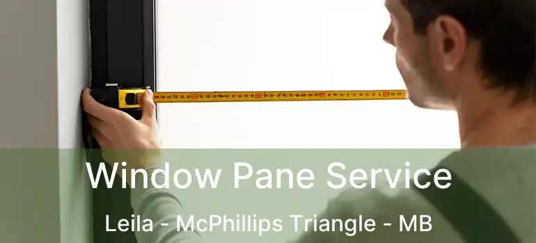  Window Pane Service Leila - McPhillips Triangle - MB