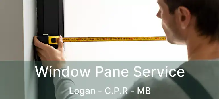  Window Pane Service Logan - C.P.R - MB