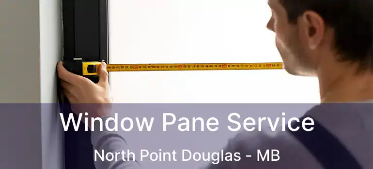  Window Pane Service North Point Douglas - MB
