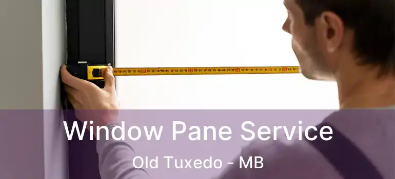  Window Pane Service Old Tuxedo - MB