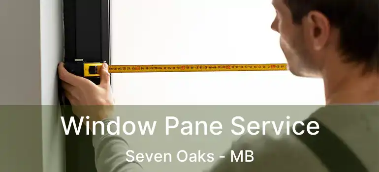  Window Pane Service Seven Oaks - MB