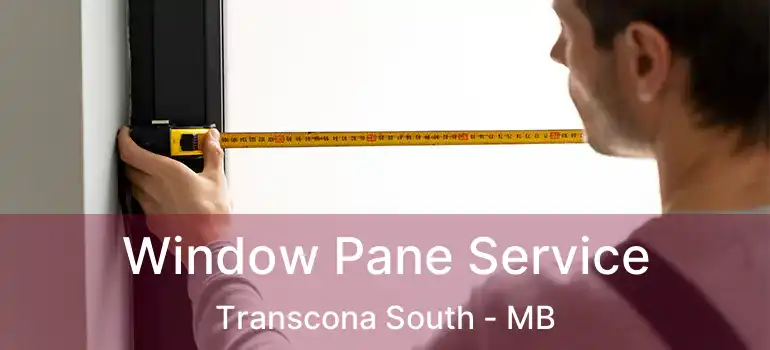  Window Pane Service Transcona South - MB