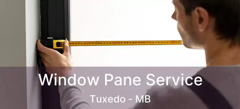  Window Pane Service Tuxedo - MB