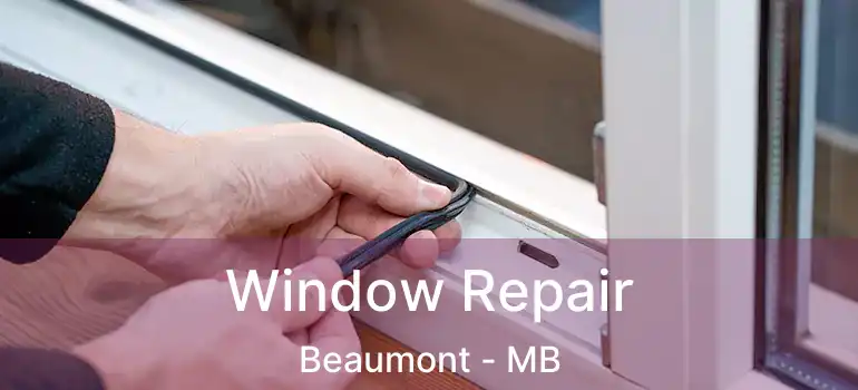  Window Repair Beaumont - MB