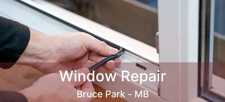  Window Repair Bruce Park - MB