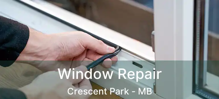  Window Repair Crescent Park - MB