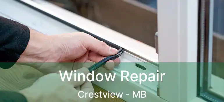  Window Repair Crestview - MB