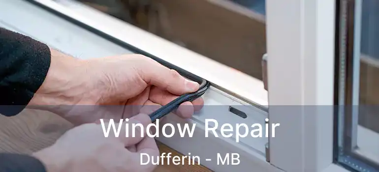  Window Repair Dufferin - MB