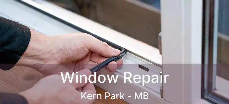  Window Repair Kern Park - MB