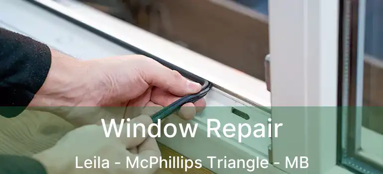  Window Repair Leila - McPhillips Triangle - MB