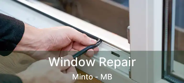  Window Repair Minto - MB
