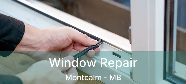  Window Repair Montcalm - MB