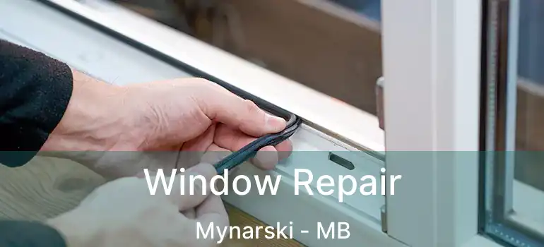  Window Repair Mynarski - MB