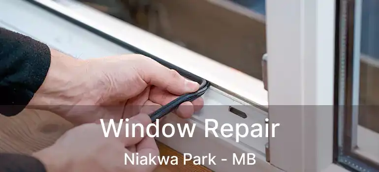  Window Repair Niakwa Park - MB