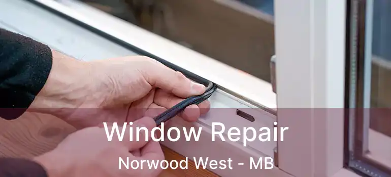  Window Repair Norwood West - MB