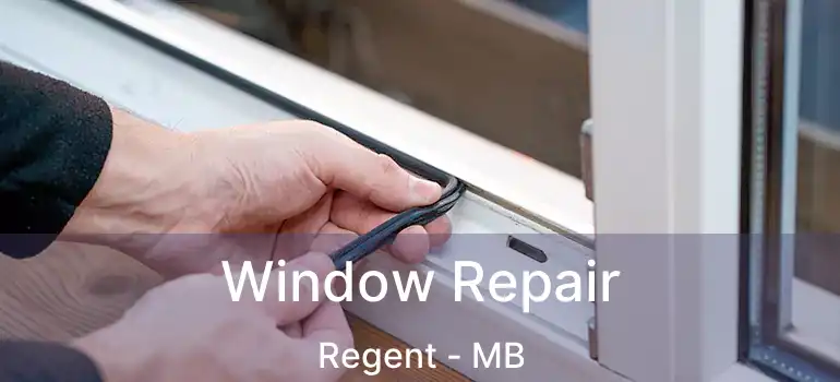  Window Repair Regent - MB
