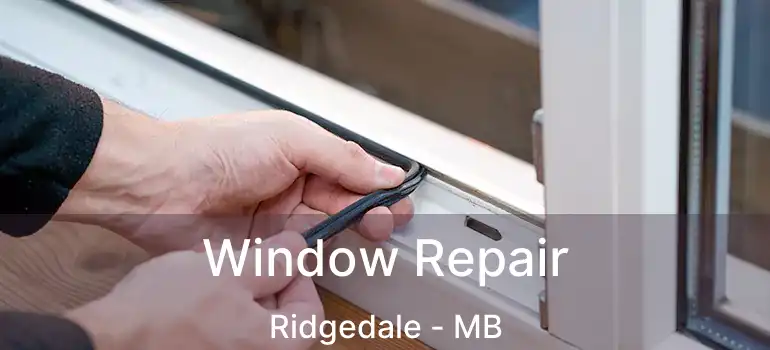  Window Repair Ridgedale - MB