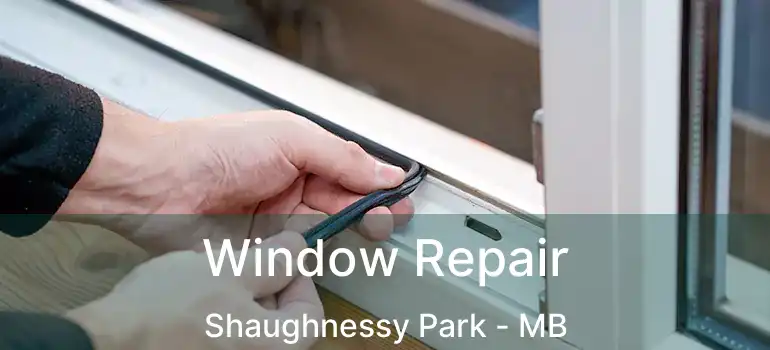  Window Repair Shaughnessy Park - MB
