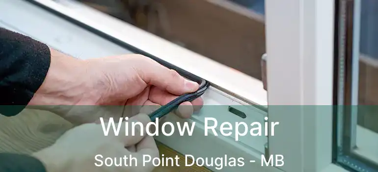  Window Repair South Point Douglas - MB