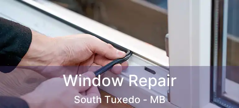  Window Repair South Tuxedo - MB