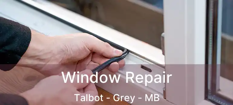  Window Repair Talbot - Grey - MB