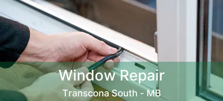  Window Repair Transcona South - MB