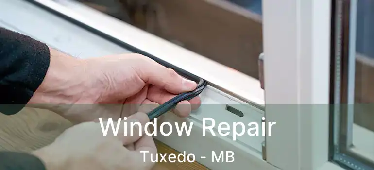  Window Repair Tuxedo - MB