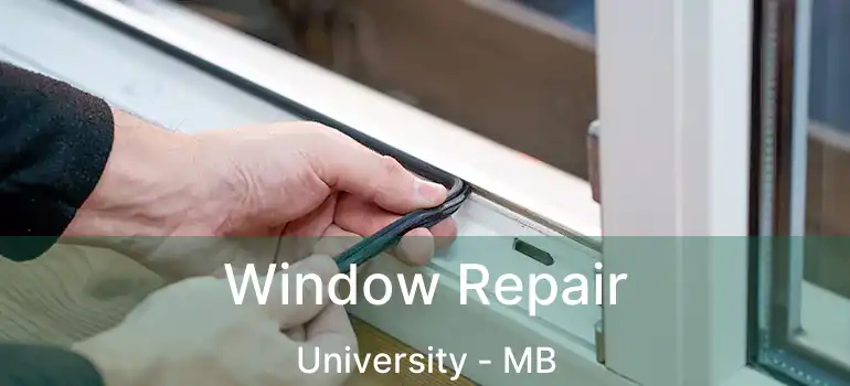  Window Repair University - MB