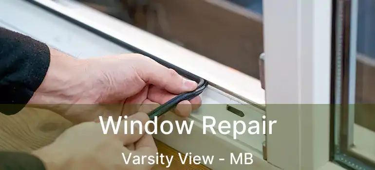  Window Repair Varsity View - MB
