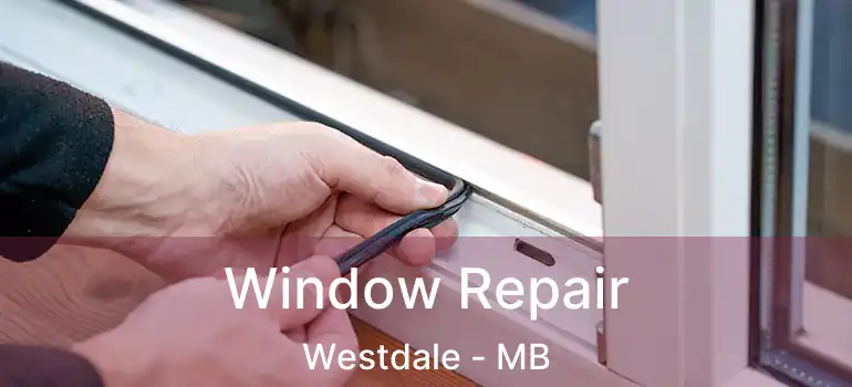  Window Repair Westdale - MB