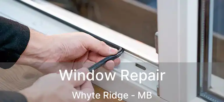  Window Repair Whyte Ridge - MB