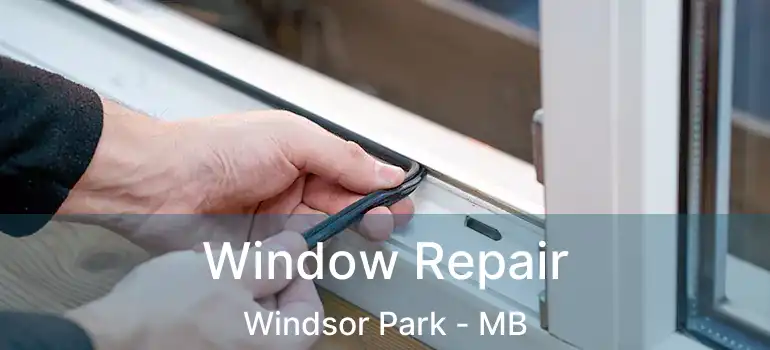  Window Repair Windsor Park - MB